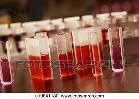 Stock Image - Quartz cuvettes containing red liquid.. Fotosearch