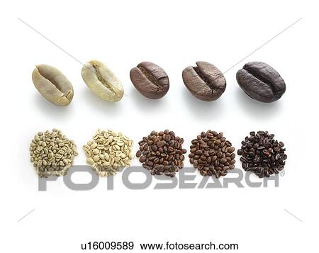 Stock Photo - Raw, light, medium and dark roast coffee beans.. Fotosearch