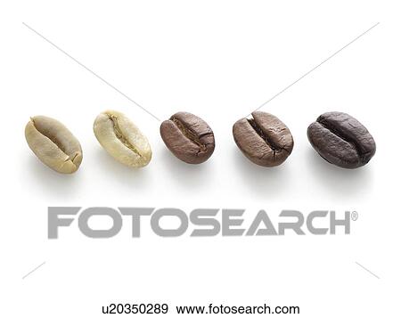 Stock Photo - Raw, light, medium and dark roast coffee beans.. Fotosearch