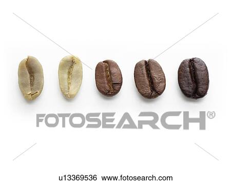 Stock Photograph - Raw, light, medium and dark roast coffee beans.. Fotosearch