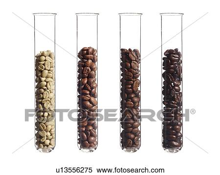 Stock Photography - Raw, light, medium and dark roast coffee beans in test tubes.. Fotosearch