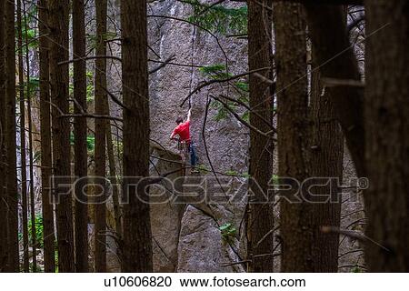 Rock climber scaling rock face close to trees, Squamish, Canada View Large Photo Image Stock Image - Rock climber scaling rock face close to trees, Squamish, Canada. Fotosearch