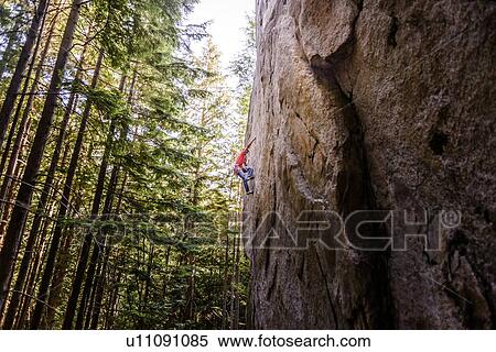 Rock climber scaling rock face close to trees, Squamish, Canada View Large Photo Image Stock Photography - Rock climber scaling rock face close to trees, Squamish, Canada. Fotosearch