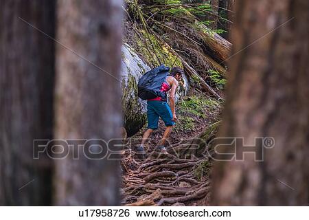 Stock Photograph - Rock climber walking through forest, Squamish, Canada. Fotosearch