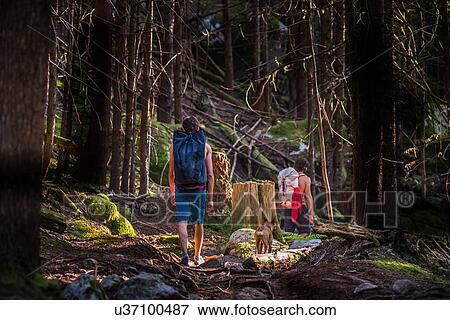 Rock climbers and dog walking through forest, Squamish, Canada View Large Photo Image Stock Photo - Rock climbers and dog walking through forest, Squamish, Canada. Fotosearch