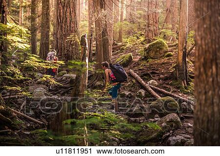 Stock Image - Rock climbers walking through forest, Squamish, Canada. Fotosearch