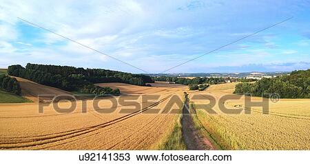 Rural landscape. View Large Photo Image Stock Image - Rural landscape.. Fotosearch