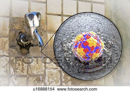 Safety of drinking water. Conceptual illustration and photo showing Hepatitis A viruses in a drop of water from an old street tap. View Large Photo Image Picture - Safety of drinking water. Conceptual illustration and photo showing Hepatitis A viruses in a drop of water from an old street tap.. Fotosearch