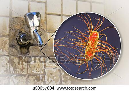 Safety of drinking water. Conceptual illustration and photo showing bacteria Escherichia coli in a drop of water from an old street tap. View Large Photo Image Picture - Safety of drinking water. Conceptual illustration and photo showing bacteria Escherichia coli in a drop of water from an old street tap.. Fotosearch