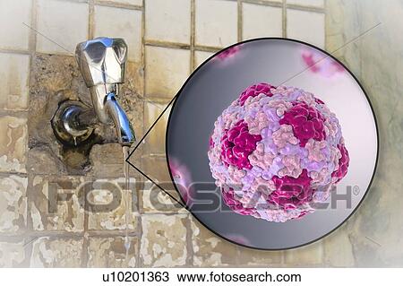Stock Image - Safety of drinking water. Conceptual illustration and photo showing Hepatitis A viruses in a drop of water from an old street tap.. Fotosearch