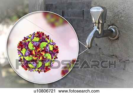 Safety of drinking water. Conceptual illustration and photo showing Polioviruses in a drop of water from an old street tap. View Large Photo Image Stock Image - Safety of drinking water. Conceptual illustration and photo showing Polioviruses in a drop of water from an old street tap.. Fotosearch