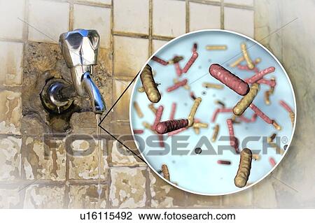 Safety of drinking water. Conceptual illustration and photo showing microbes in a drop of water from an old street tap. View Large Photo Image Stock Image - Safety of drinking water. Conceptual illustration and photo showing microbes in a drop of water from an old street tap.. Fotosearch