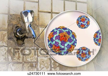 Safety of drinking water. Conceptual illustration and photo showing Hepatitis A viruses in a drop of water from an old street tap. View Large Photo Image Stock Image - Safety of drinking water. Conceptual illustration and photo showing Hepatitis A viruses in a drop of water from an old street tap.. Fotosearch