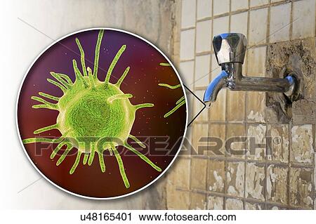 Safety of drinking water. Conceptual illustration and photo showing abstract parasitic microorganisms in a drop of water from an old street tap. View Large Photo Image Stock Image - Safety of drinking water. Conceptual illustration and photo showing abstract parasitic microorganisms in a drop of water from an old street tap.. Fotosearch