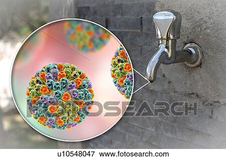 Safety of drinking water. Conceptual illustration and photo showing Rotaviruses in a drop of water from an old street tap. View Large Photo Image Stock Photo - Safety of drinking water. Conceptual illustration and photo showing Rotaviruses in a drop of water from an old street tap.. Fotosearch