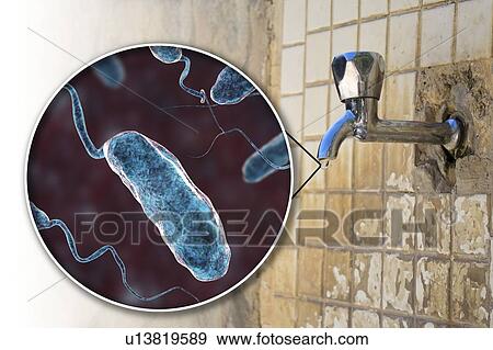 Safety of drinking water. Conceptual illustration and photo showing bacteria Vibrio cholerae in a drop of water from an old street tap. View Large Photo Image Stock Photo - Safety of drinking water. Conceptual illustration and photo showing bacteria Vibrio cholerae in a drop of water from an old street tap.. Fotosearch