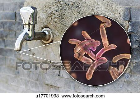 Safety of drinking water. Conceptual illustration and photo showing bacteria Vibrio cholerae in a drop of water from an old street tap. View Large Photo Image Stock Photo - Safety of drinking water. Conceptual illustration and photo showing bacteria Vibrio cholerae in a drop of water from an old street tap.. Fotosearch