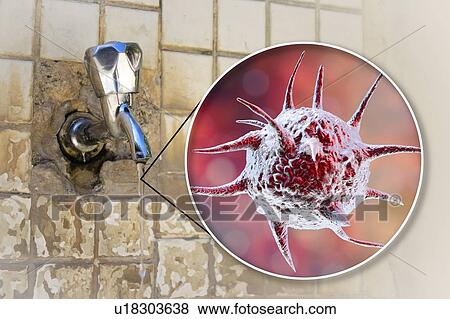 Safety of drinking water. Conceptual illustration and photo showing abstract parasitic microorganisms in a drop of water from an old street tap. View Large Photo Image Stock Photo - Safety of drinking water. Conceptual illustration and photo showing abstract parasitic microorganisms in a drop of water from an old street tap.. Fotosearch