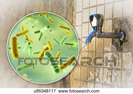 Stock Photo - Safety of drinking water. Conceptual illustration and photo showing microbes in a drop of water from an old street tap.. Fotosearch