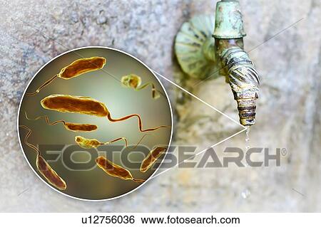 Stock Photograph - Safety of drinking water. Conceptual illustration and photo showing bacteria Vibrio cholerae in a drop of water from an old street tap.. Fotosearch