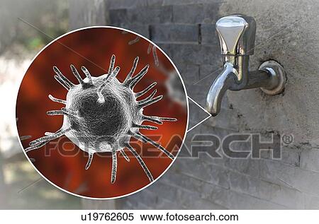 Safety of drinking water. Conceptual illustration and photo showing abstract parasitic microorganisms in a drop of water from an old street tap. View Large Photo Image Stock Photography - Safety of drinking water. Conceptual illustration and photo showing abstract parasitic microorganisms in a drop of water from an old street tap.. Fotosearch