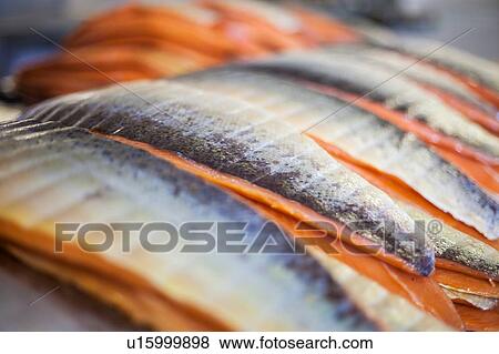 Salmon being prepared for smoking View Large Photo Image Stock Photo - Salmon being prepared for smoking. Fotosearch