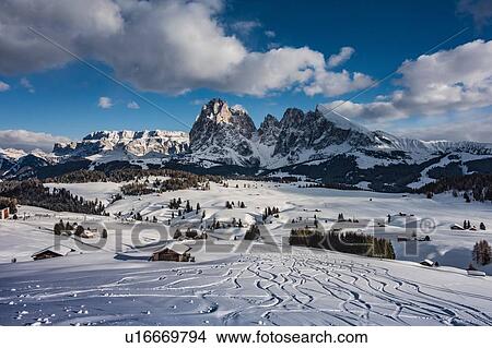 Seiser Alm, Alpe di Siusi, Dolomites View Large Photo Image Picture - Seiser Alm, Alpe di Siusi, Dolomites. Fotosearch