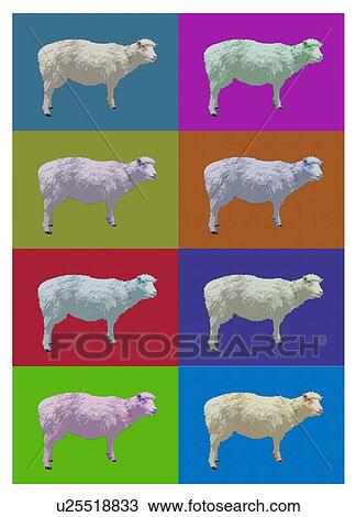 Sheep cloning, conceptual illustration. View Large Photo Image Stock Image - Sheep cloning, conceptual illustration.. Fotosearch
