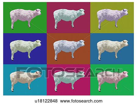 Stock Photo - Sheep cloning, conceptual illustration.. Fotosearch