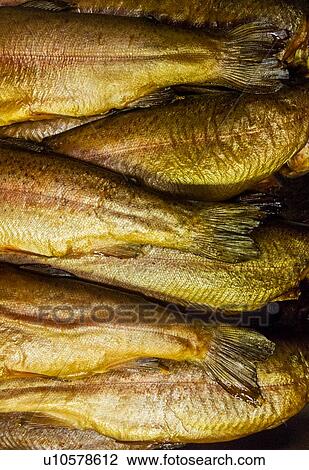 Stock Image - Smoked fish. Fotosearch