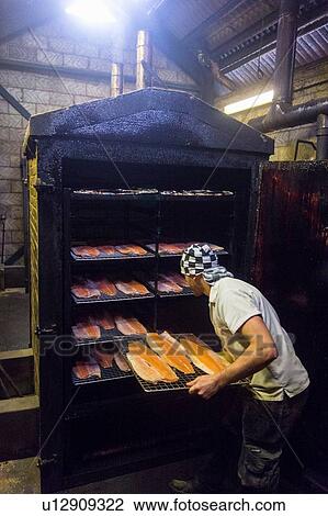 Stock Image - Smoked salmon being prepared in smokehouse. Fotosearch