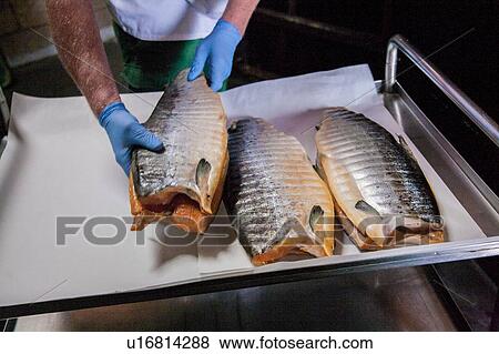 Stock Photo - Smoked salmon being prepared in smokehouse. Fotosearch