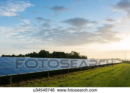 Stock Photograph - Solar farm, Noordoostpolder, Emmeloord, Flevoland, Netherlands. Fotosearch