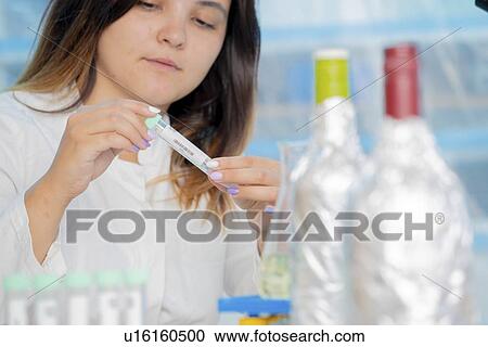 Testing wine in quality control lab. View Large Photo Image Stock Image - Testing wine in quality control lab.. Fotosearch