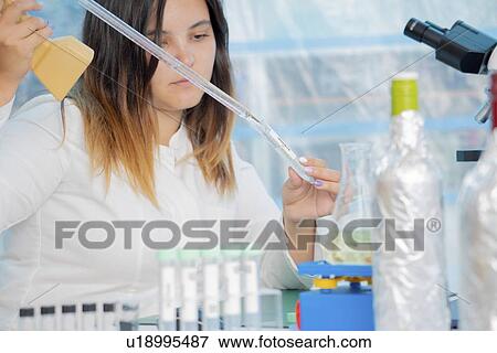 Testing wine in quality control lab. View Large Photo Image Stock Photo - Testing wine in quality control lab.. Fotosearch