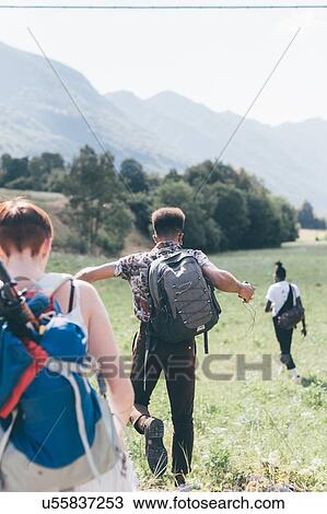 Stock Image - Three young adult friends hiking through field, rear view, Primaluna, Trentino-Alto Adige, Italy. Fotosearch