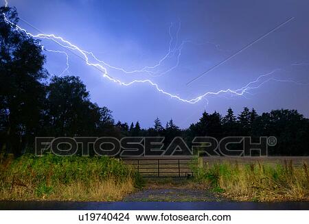 Picture - Thunderstorm at night over Mastbos woods, Breda, Noord-Brabant, Netherlands. Fotosearch