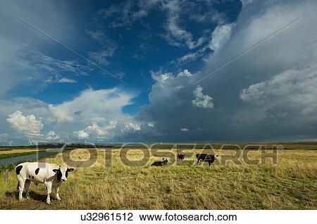 Thunderstorms travelling over Rilland, Zeeland, Netherlands View Large Photo Image Stock Image - Thunderstorms travelling over Rilland, Zeeland, Netherlands. Fotosearch