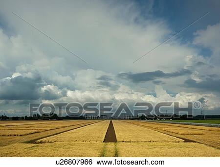 Stock Photograph - Thunderstorms travelling over Rilland, Zeeland, Netherlands. Fotosearch
