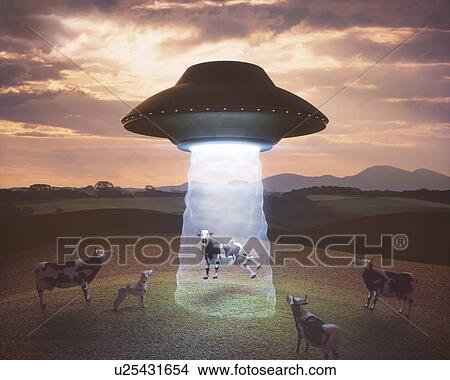 Picture - UFO beaming up cow, illustration.. Fotosearch