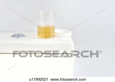 Urine sample on toilet, studio shot. View Large Photo Image Stock Image - Urine sample on toilet, studio shot.. Fotosearch