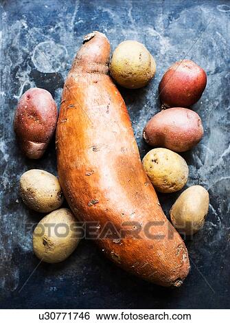Stock Photograph - Variety of potatoes. Fotosearch