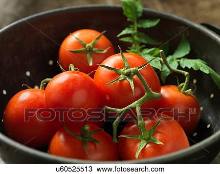 Stock Image - Vine tomatoes. Fotosearch