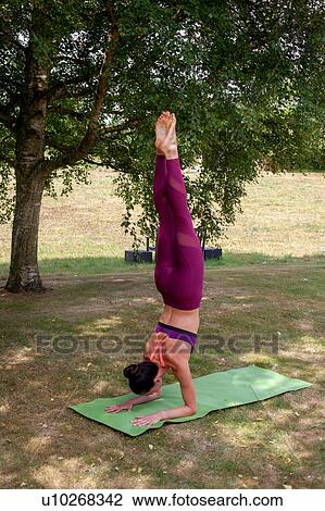 Stock Image - Woman practicing yoga in garden, forearm stand. Fotosearch