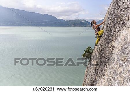 Woman rock climbing, Squamish, Canada View Large Photo Image Stock Image - Woman rock climbing, Squamish, Canada. Fotosearch