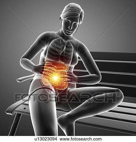Woman with abdominal pain, computer illustration. View Large Photo Image Picture - Woman with abdominal pain, computer illustration.. Fotosearch