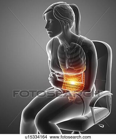 Woman with abdominal pain, computer illustration. View Large Photo Image Picture - Woman with abdominal pain, computer illustration.. Fotosearch