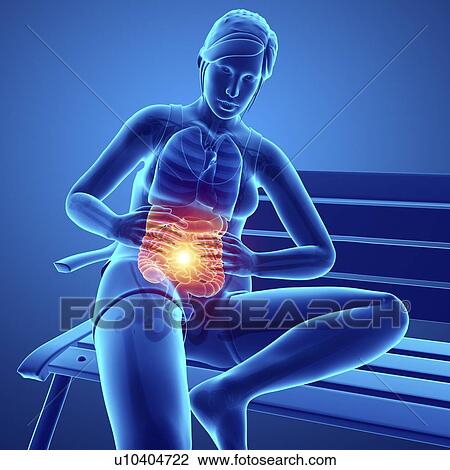 Woman with abdominal pain, computer illustration. View Large Photo Image Stock Image - Woman with abdominal pain, computer illustration.. Fotosearch