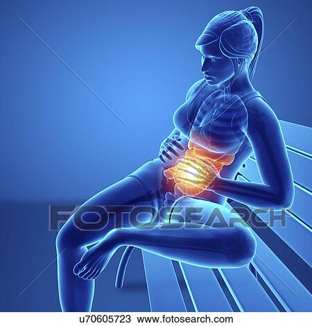 Woman with abdominal pain, computer illustration. View Large Photo Image Stock Image - Woman with abdominal pain, computer illustration.. Fotosearch