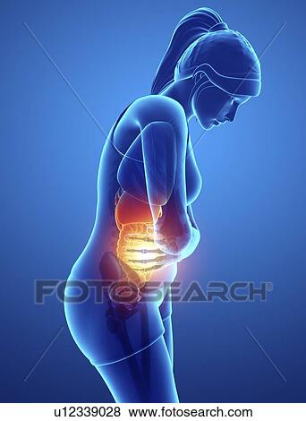Stock Photo - Woman with abdominal pain, computer illustration.. Fotosearch